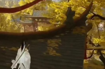 射雕白额燕蛋怎么收集