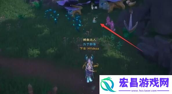 塔瑞斯世界迷雾森林宝箱位置