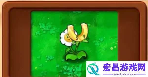 植物大战僵尸杂交版图鉴大全