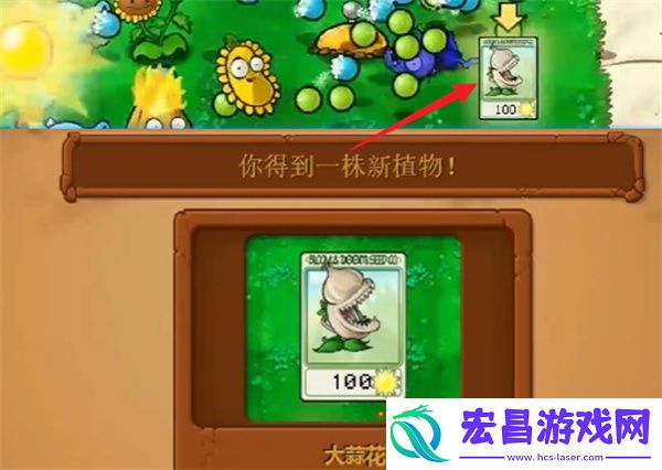植物大战僵尸杂交版冒险模式第2关通关攻略
