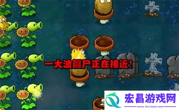 植物大战僵尸杂交版冒险模式第4关通关攻略