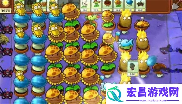 植物大战僵尸杂交版冒险模式第7关通关攻略