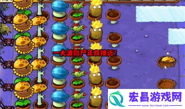 植物大战僵尸杂交版冒险模式第10关通关攻略