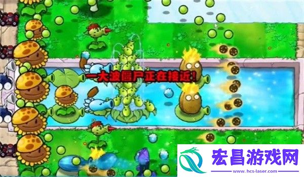 植物大战僵尸杂交版冒险模式第13关通关攻略