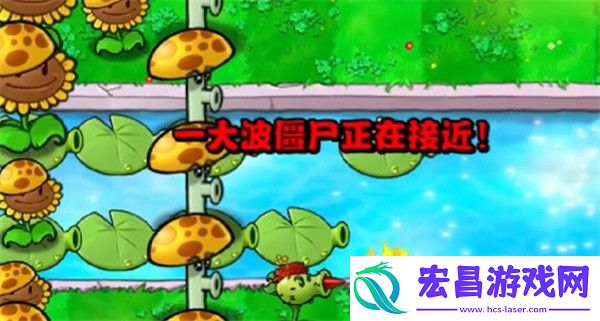 植物大战僵尸杂交版冒险模式第11关通关攻略