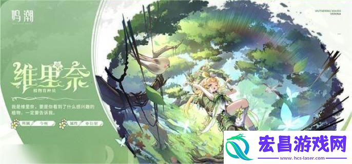 鸣潮维里奈声骸怎么选择