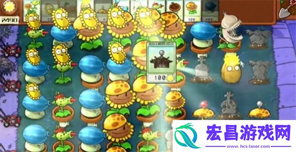 植物大战僵尸杂交版冒险模式第6关通关攻略