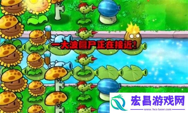 植物大战僵尸杂交版冒险模式第12关通关攻略