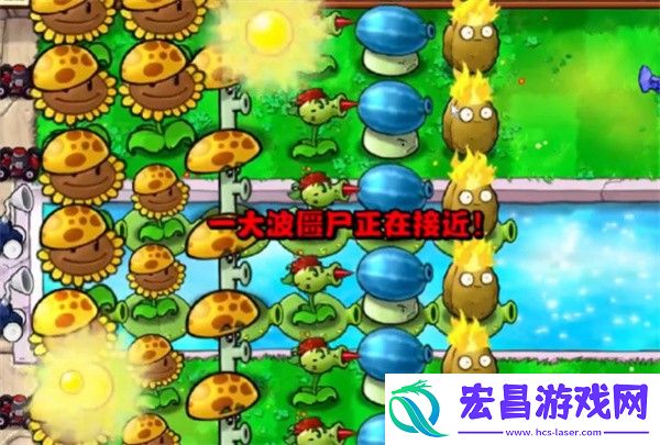 植物大战僵尸杂交版冒险模式第11关通关攻略