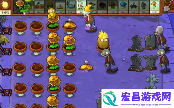 植物大战僵尸杂交版冒险模式第9关通关攻略