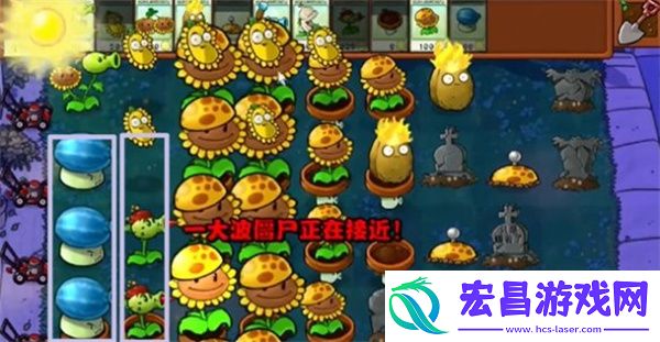 植物大战僵尸杂交版冒险模式第6关通关攻略
