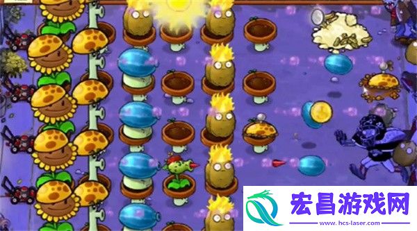 植物大战僵尸杂交版冒险模式第10关通关攻略