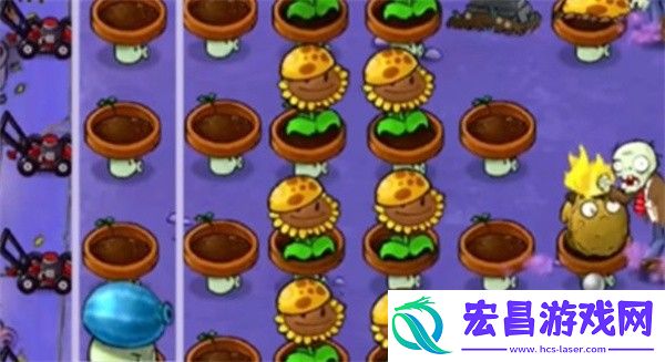 植物大战僵尸杂交版冒险模式第8关通关攻略