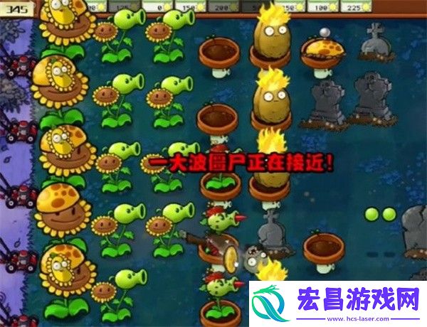 植物大战僵尸杂交版冒险模式第5关通关攻略