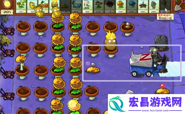 植物大战僵尸杂交版冒险模式第9关通关攻略