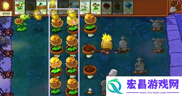 植物大战僵尸杂交版冒险模式第6关通关攻略