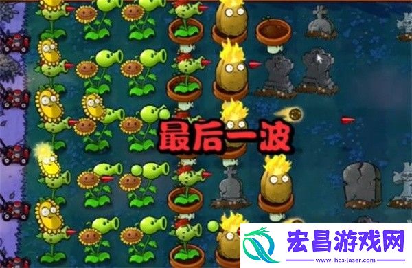 植物大战僵尸杂交版冒险模式第5关通关攻略