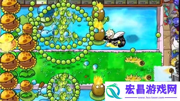 植物大战僵尸杂交版冒险模式第16关通关攻略