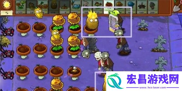 植物大战僵尸杂交版冒险模式第8关通关攻略