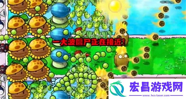 植物大战僵尸杂交版冒险模式第15关通关攻略