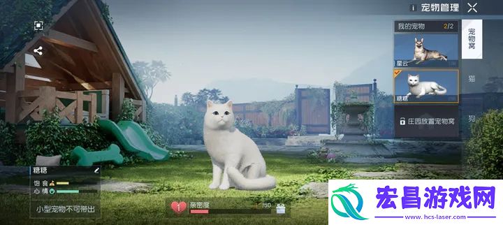 黎明觉醒猫怎么带出去