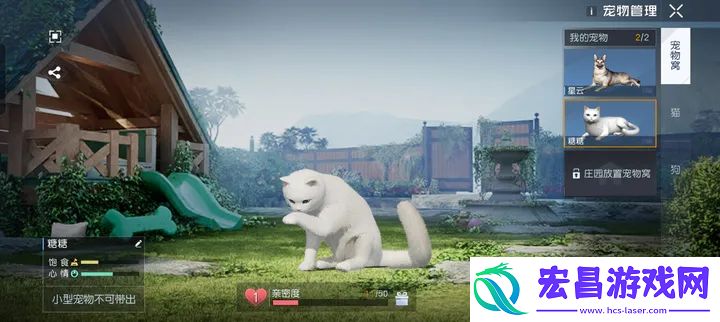 黎明觉醒猫怎么带出去