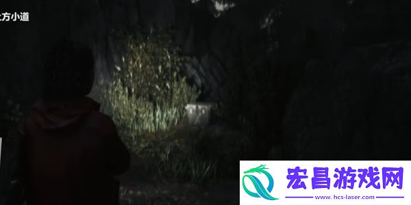 心灵杀手2富水镇上方小道藏匿物在哪
