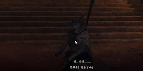 龙之信条2暗中通近圣焰的黑影任务怎么做