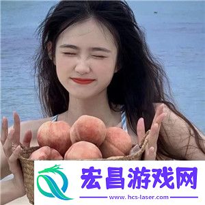 高效建站攻略