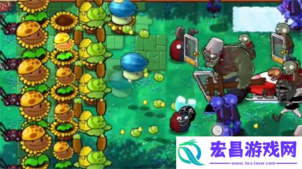 植物大战僵尸杂交版冒险模式第35关通关攻略