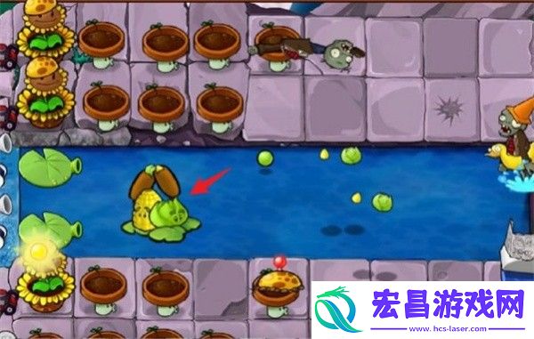 植物大战僵尸杂交版冒险模式第31关通关攻略