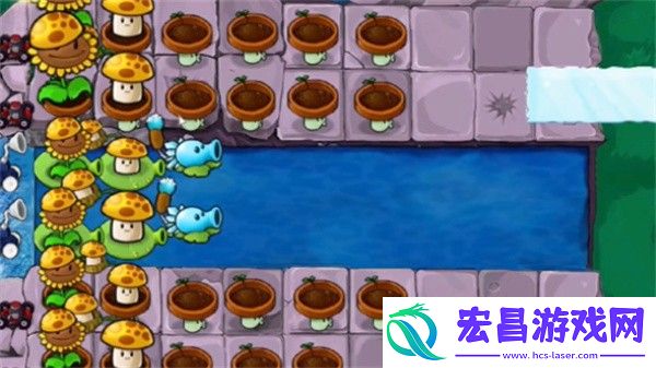 植物大战僵尸杂交版冒险模式第33关通关攻略