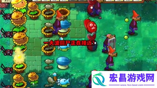 植物大战僵尸杂交版冒险模式第39关通关攻略