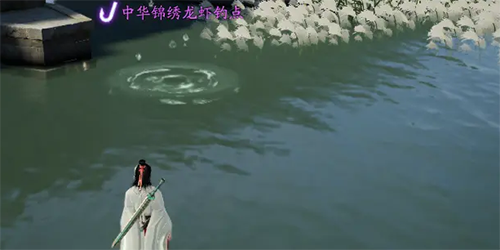 射雕鱼饵在哪买