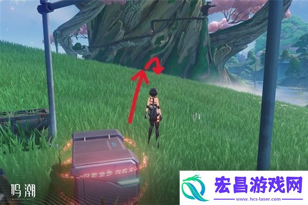 鸣潮六个无光之森生态调查在哪
