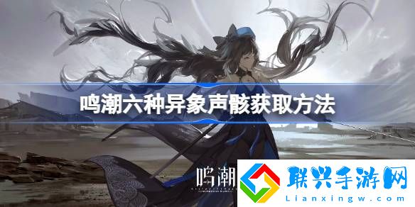 鸣潮异象声骸有哪些