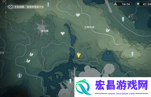 鸣潮夜息香怎么采集