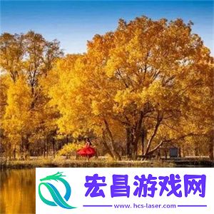 微信头像风景图片大全
