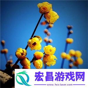 微信头像风景图片大全
