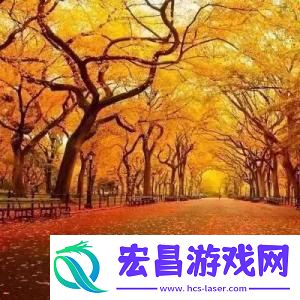 微信头像风景图片大全