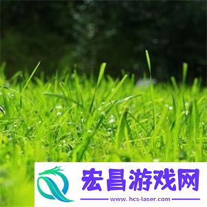 微信头像风景图片大全