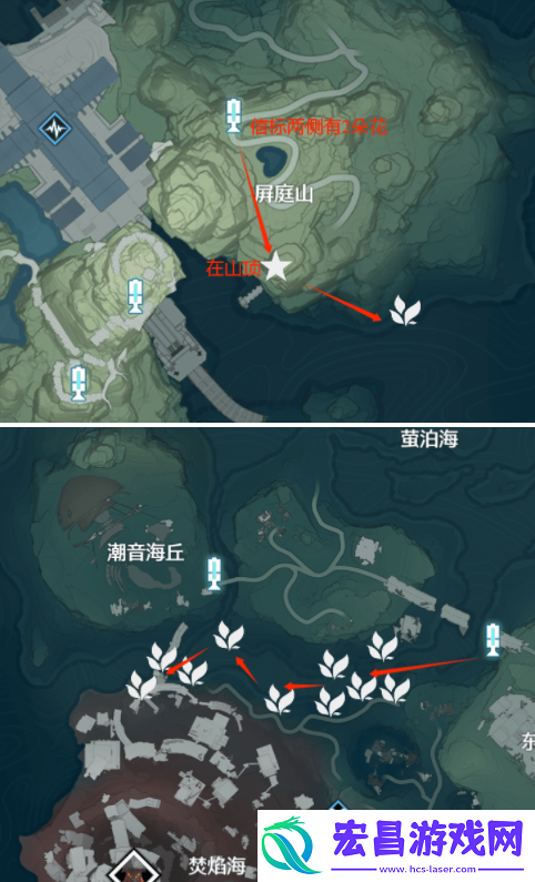 鸣潮鸳鸯花木莲怎么采集