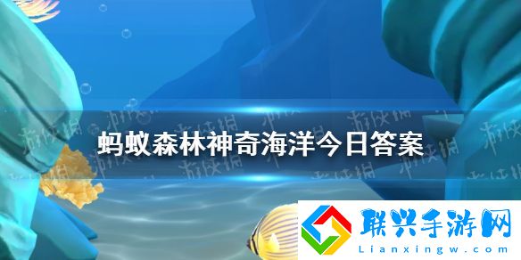 鹦鹉螺和凤尾螺哪种海洋动物的壳是两侧对称的