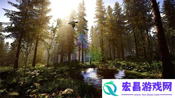 森林之子作弊码大全