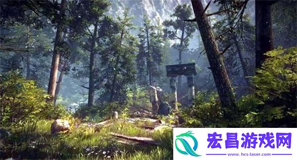 森林之子作弊码大全