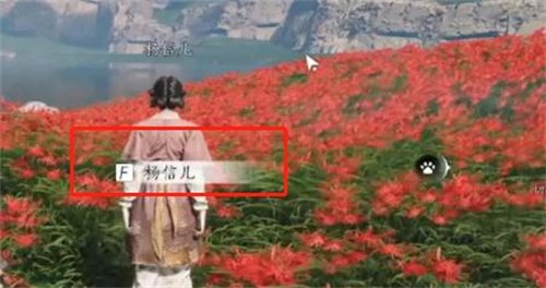 燕云十六声花中愿任务攻略