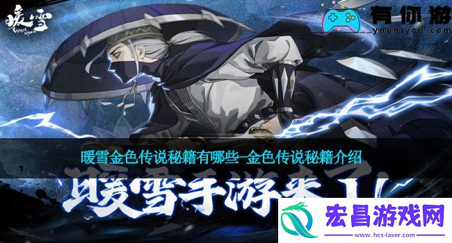 暖雪金色传说秘籍有哪些