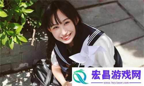 wordpress成品网站