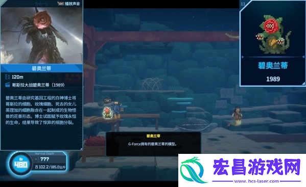 潜水员戴夫碧奥兰蒂在哪