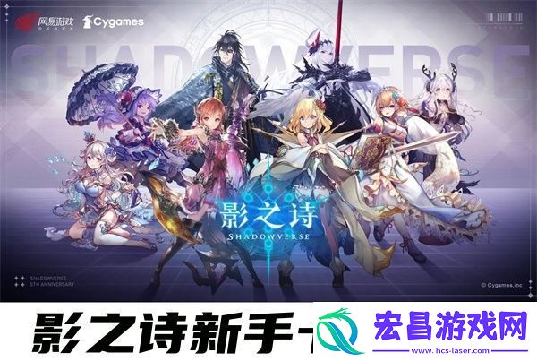 新手入门